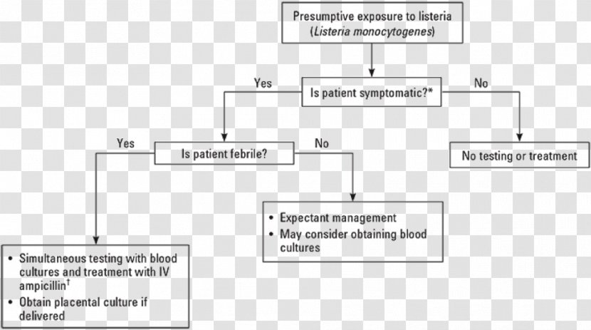 2011 United States Listeriosis Outbreak Listeria Monocytogenes Pregnancy Symptom - Plan - Neonatal Transparent PNG