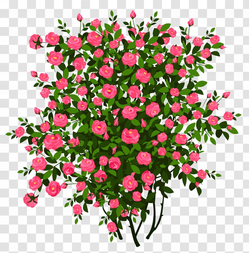 Rose Shrub Drawing Clip Art - Tree - Green Bush Cliparts Transparent PNG