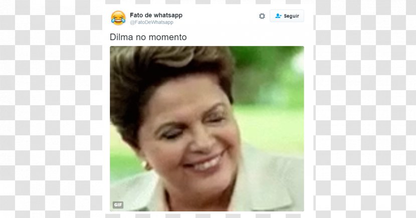 Impeachment Of Dilma Rousseff Chamber Deputies Brazil President - Deputy - Sense8 Transparent PNG