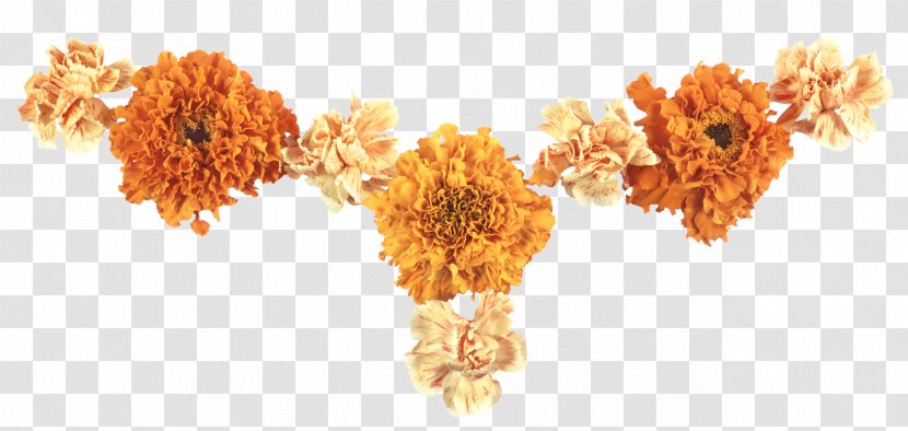 Flower Image Centerblog Composition - Orange Transparent PNG