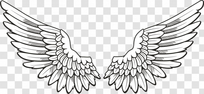 Icon Wing Clip Art - Bird - Wings Transparent PNG