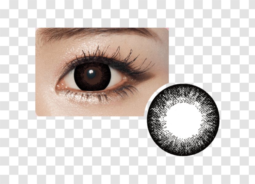 Contact Lenses Circle Lens Eye Grey - Eyebrow Transparent PNG