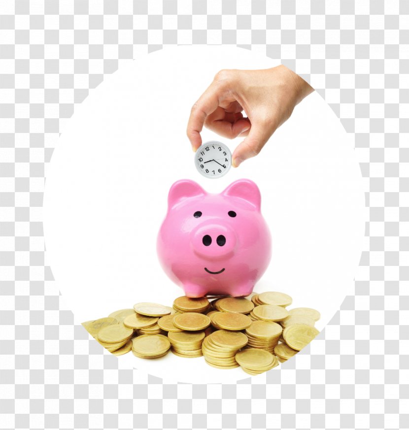 Saving Gold Coin Piggy Bank Money Transparent PNG