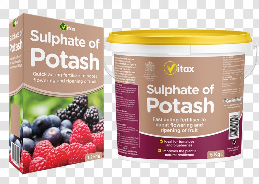 Natural Foods Potash Flavor Sulfate Fertilisers - Garlic Flower Transparent PNG