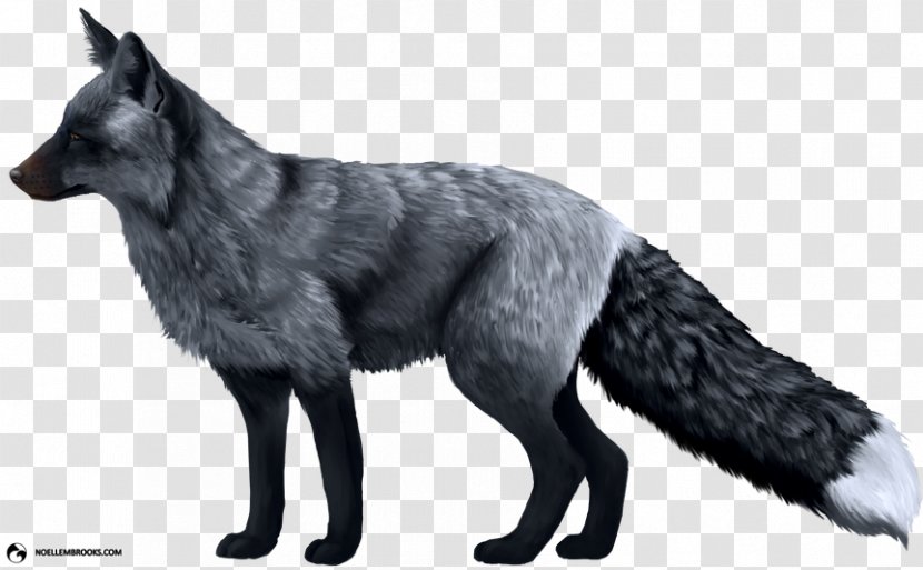 Domesticated Red Fox Silver Arctic Dog - Canis Lupus Tundrarum Transparent PNG
