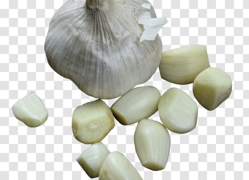 Garlic Bread Vegetable Solo Onion - Allium Transparent PNG