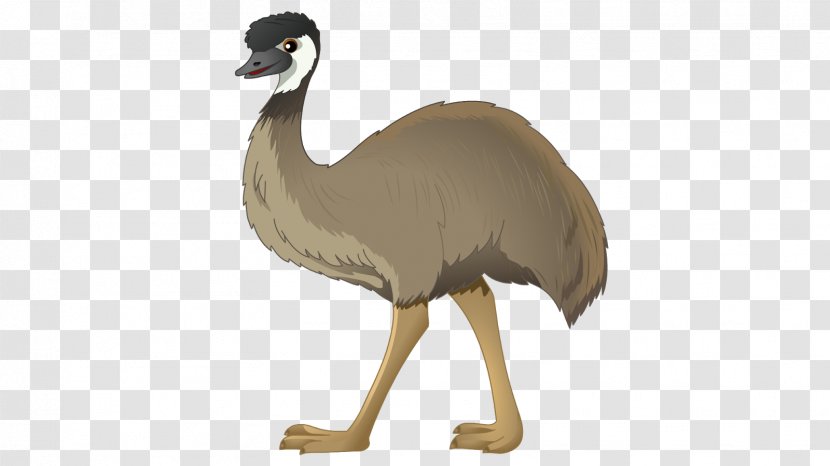 Common Ostrich Emu Drawing Photography - Ratite Transparent PNG