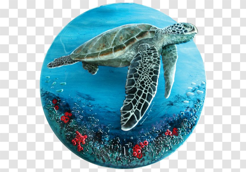 Loggerhead Sea Turtle Hawksbill Fused Glass - Dichroic Transparent PNG