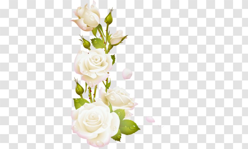 Picture Frames Paper Cut Flowers Rose - Floral Design - Flower Transparent PNG