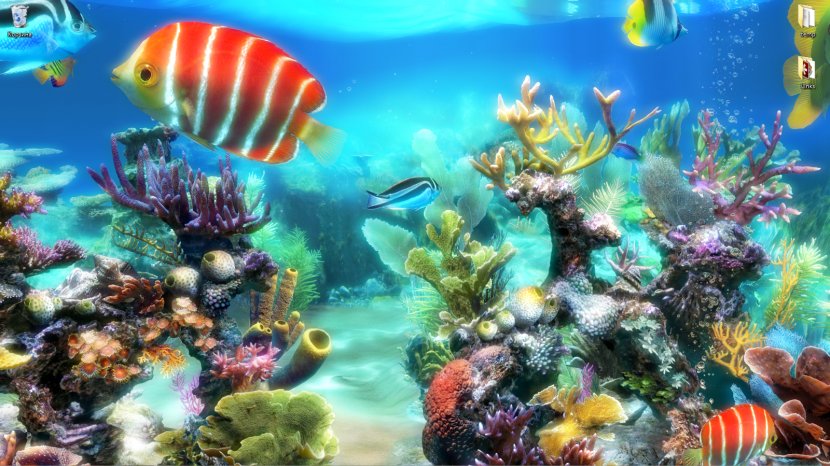 Aquariums Coral Reef Akwarystyka Morska - Organism - Aquarium Transparent PNG