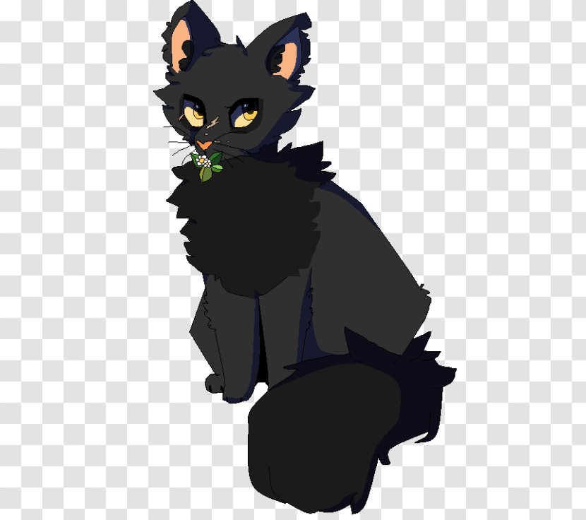 Black Cat Kitten Whiskers Drawing Transparent PNG