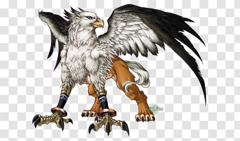 Legendary Creature Griffin Mythology Phoenix Transparent PNG