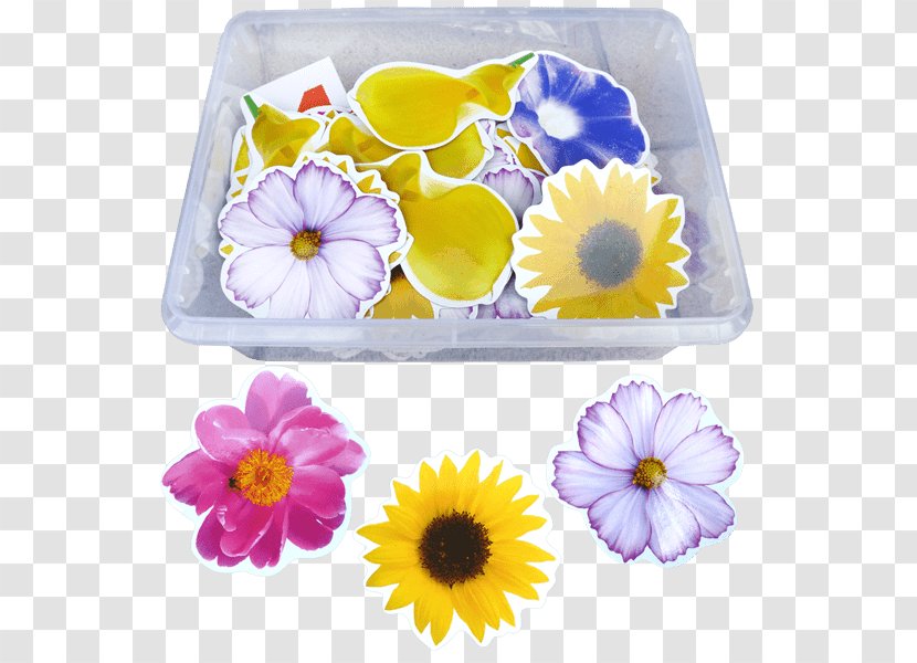 Petal Floristry Violet Cut Flowers - Learning Supplies Transparent PNG