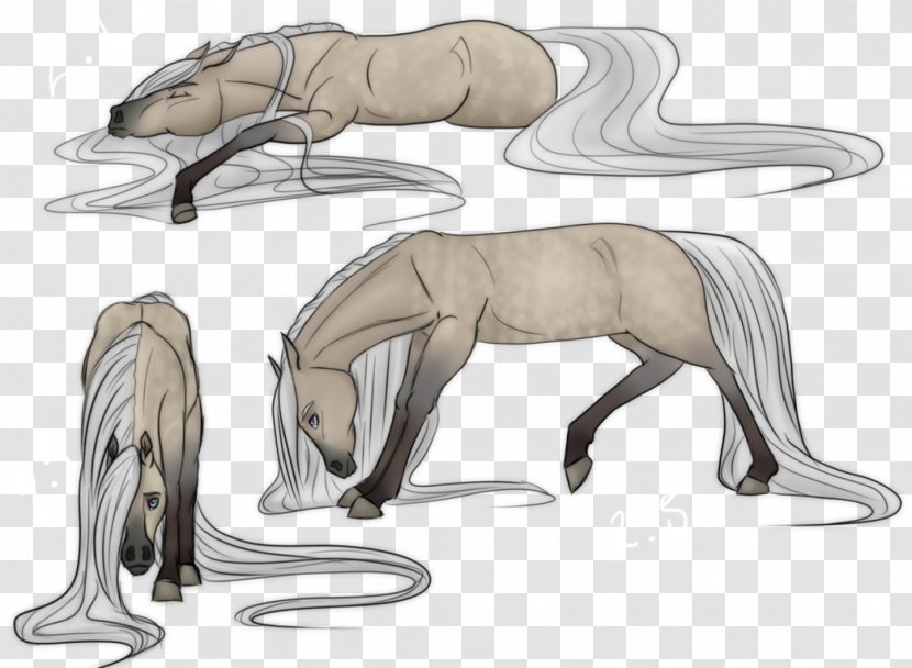 Lion Mustang Cat Sketch - Drawing Transparent PNG