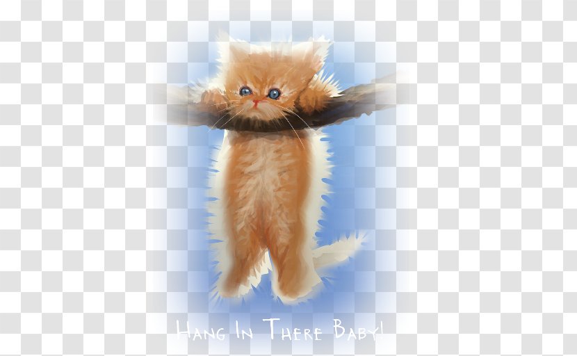 Hang In There, Baby Cat Kitten Poster - Small To Medium Sized Cats - There Transparent PNG