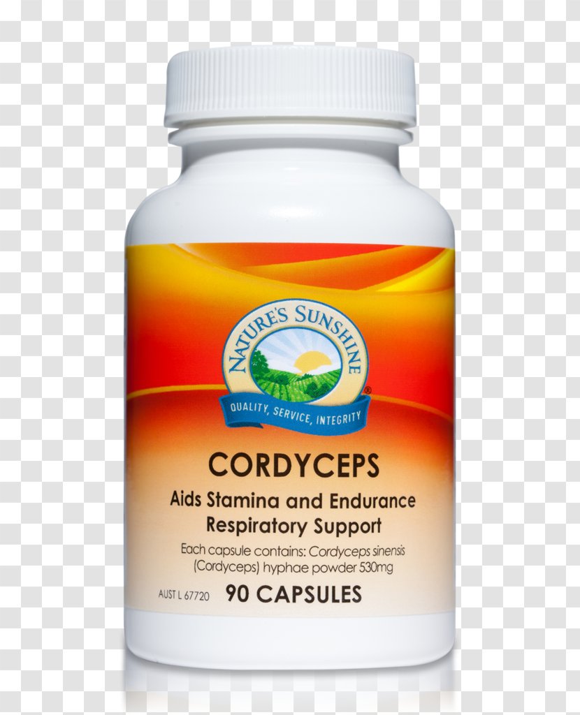 Nature's Sunshine Products Capsule Dietary Supplement Herb Natures Health - Service - Cordyceps Transparent PNG