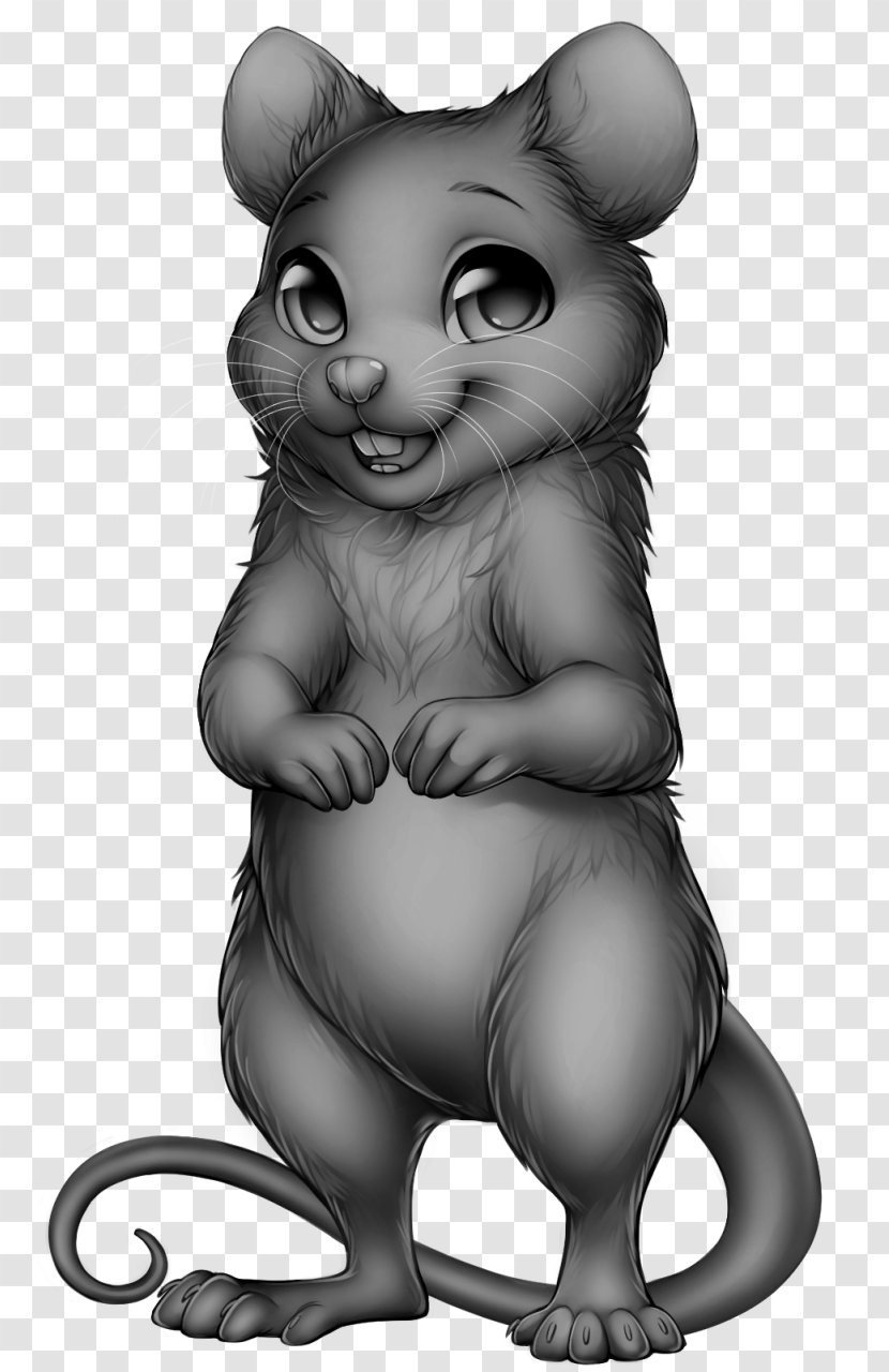 Mouse Rat Rodent Whiskers Cat Transparent PNG
