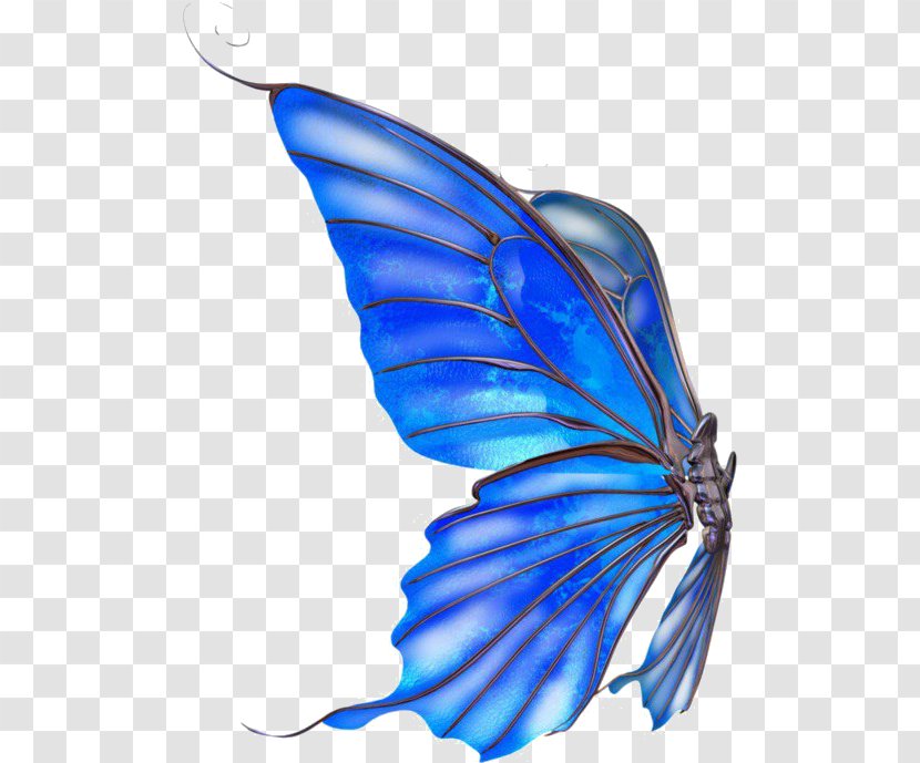 Monarch Butterfly Jellyfish Blue - Moths And Butterflies Transparent PNG