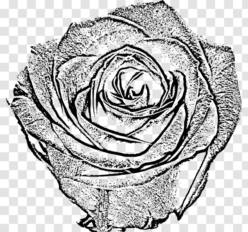 Garden Roses Black And White Drawing Sketch - Heart - Rose Transparent PNG