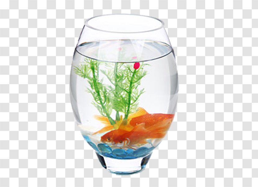 Aquarium Glass Fish Decorative Arts - Transparency And Translucency - Patterns In Plants Long Tank Transparent PNG
