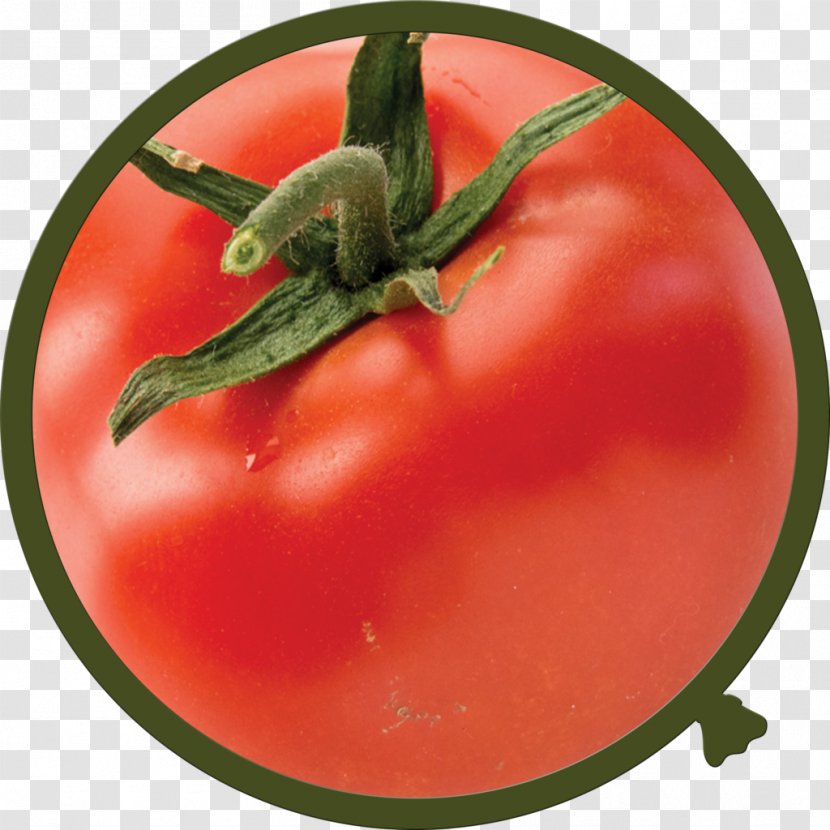 Plum Tomato Bush Food Bell Pepper Transparent PNG
