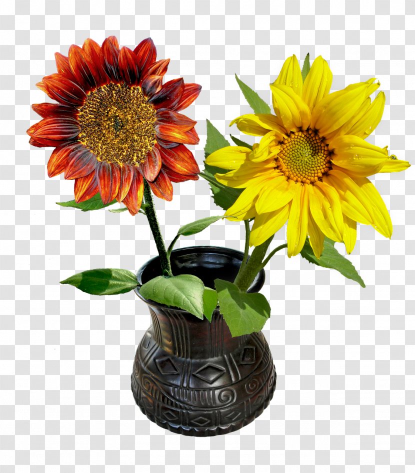 Common Sunflower Flowerpot - Zazzle - Flower Transparent PNG