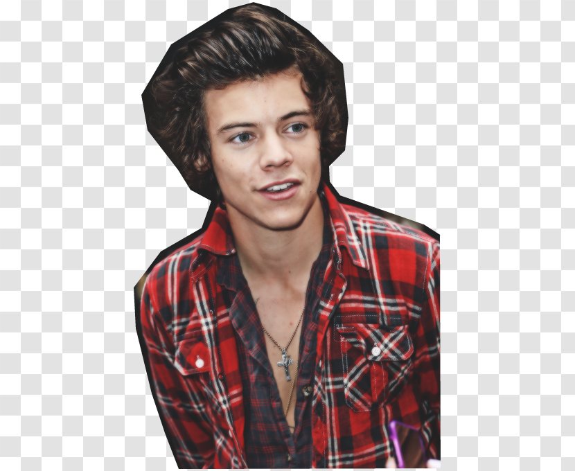 Harry Styles Celebrity DeviantArt - Silhouette Transparent PNG