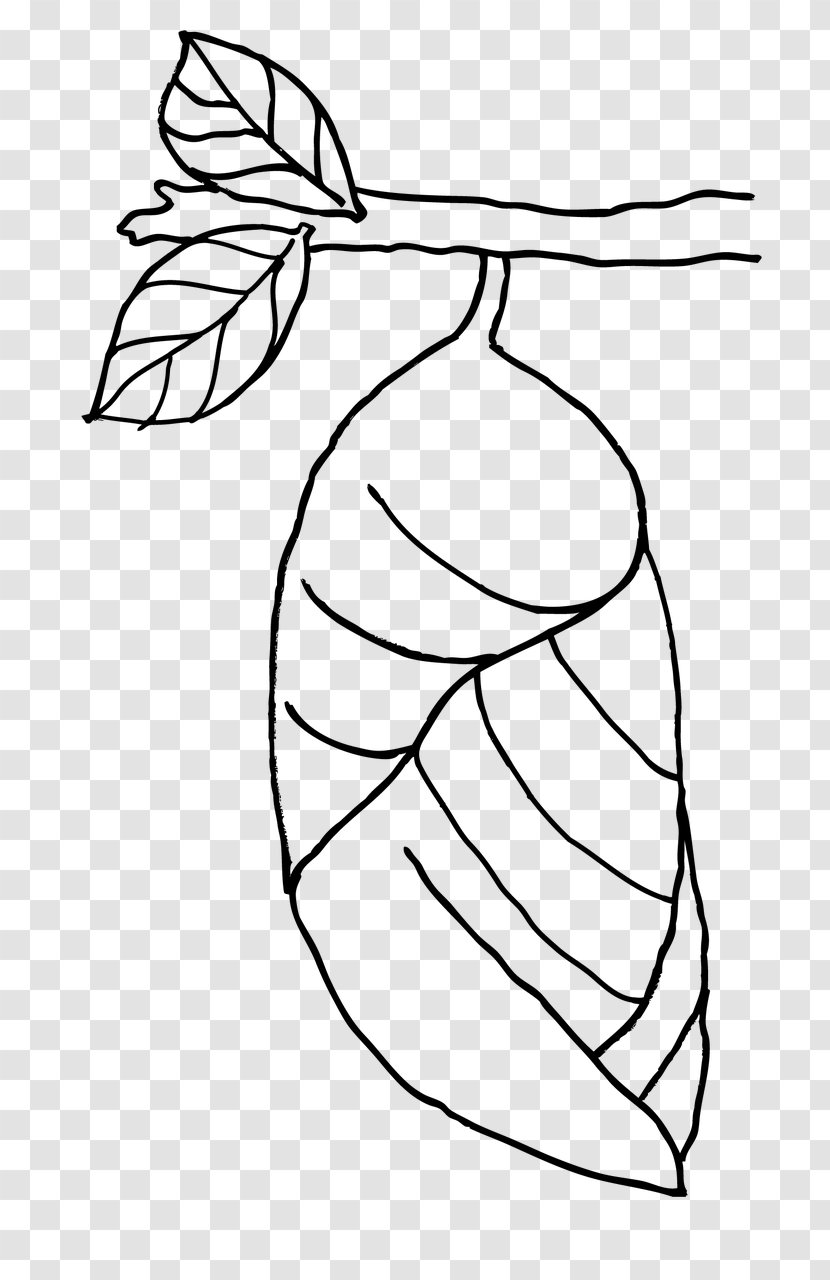 Butterfly Leaf Insect Coloring Book Pupa - Cartoon Transparent PNG