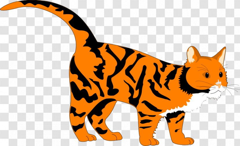 Tiger Cat Coloring Book Clip Art - Vector Transparent PNG