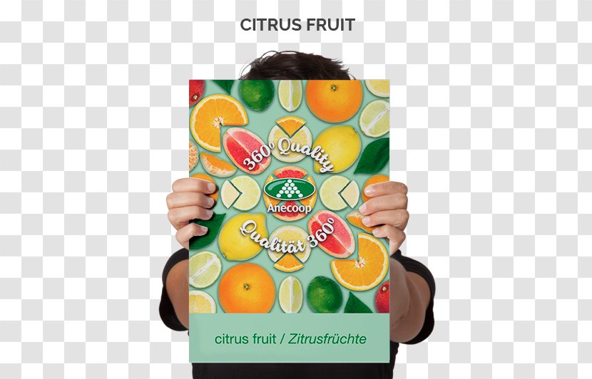 Poster Paper Advertising Printing - Citrus Fruits Transparent PNG