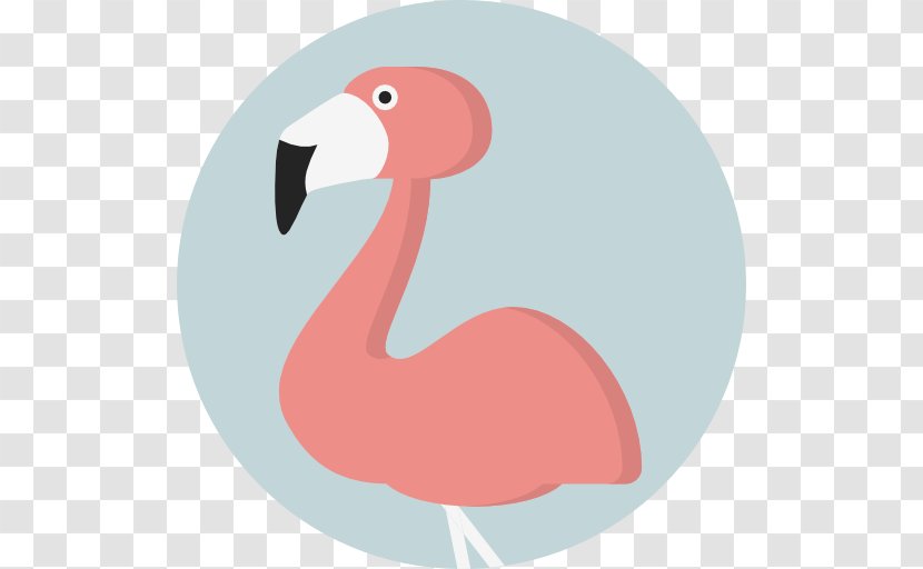Flamingo - Neck Transparent PNG