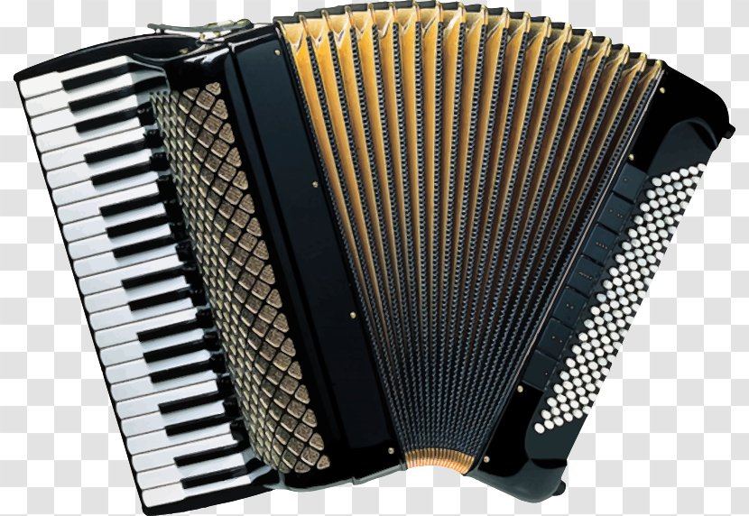 Accordion Musical Instruments Keyboard Piano - Tree Transparent PNG