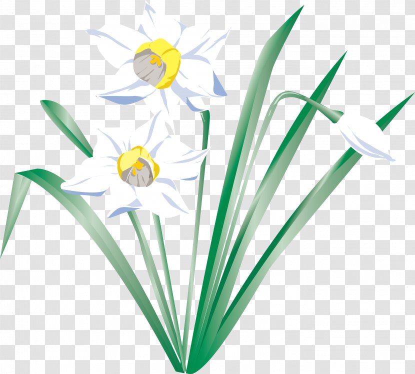 Flower I Wandered Lonely As A Cloud Daffodil - Amaryllis Family - Narcissus Transparent PNG