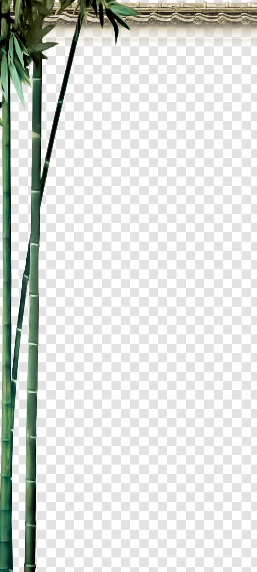 Bamboo Classical Element Pattern - Net - Elements Transparent PNG