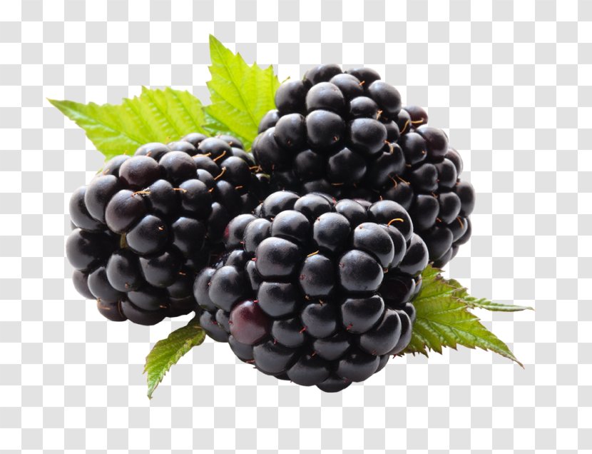 Fruit Blueberry Stock Photography BlackBerry - Superfood - Juice Transparent PNG