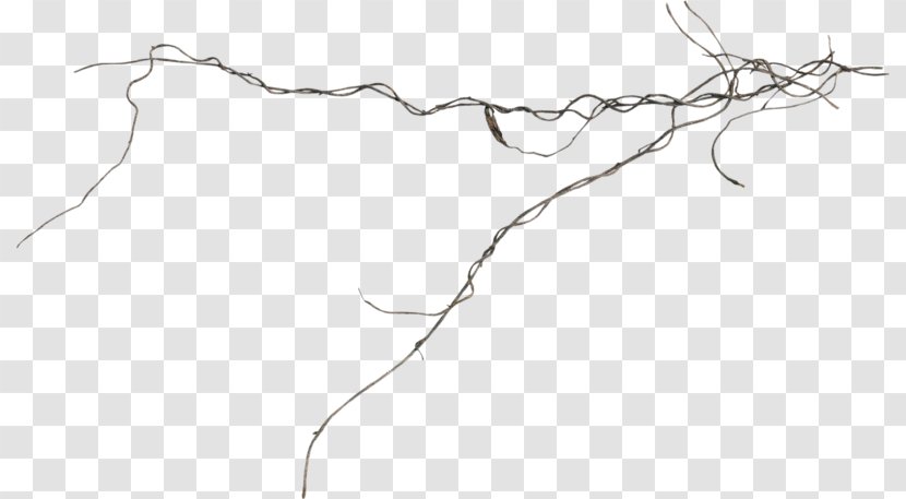 Twig Line Art Drawing Point - Monochrome Photography Transparent PNG