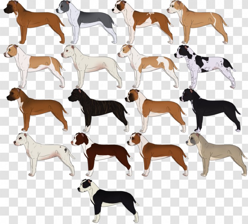 Dog Breed American Bully Pit Bull Terrier Puppy - Like Mammal Transparent PNG