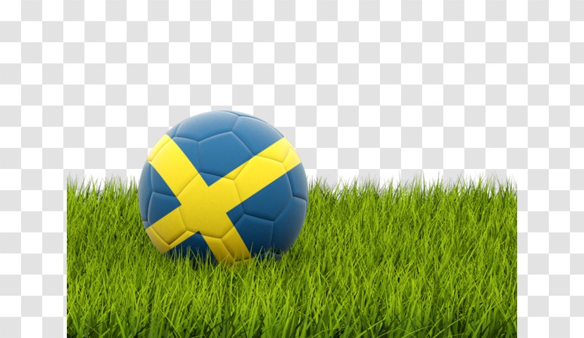 Sweden National Football Team UEFA Euro 2016 Albania World Cup - Grass Family Transparent PNG