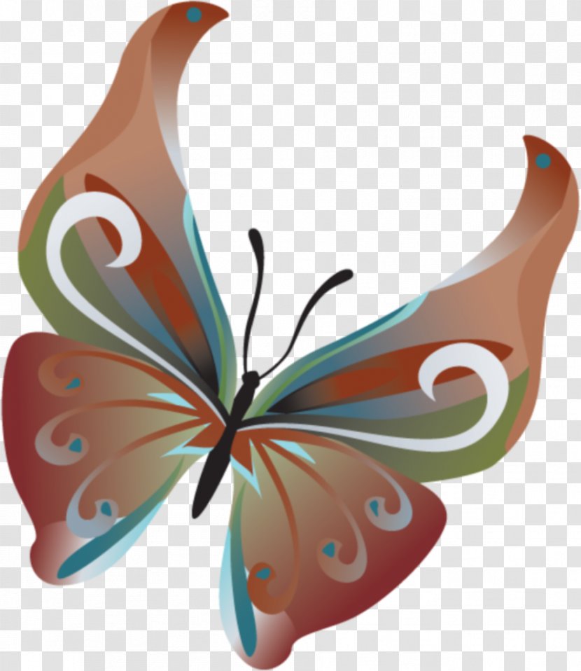 Monarch Butterfly Photography - Organism Transparent PNG