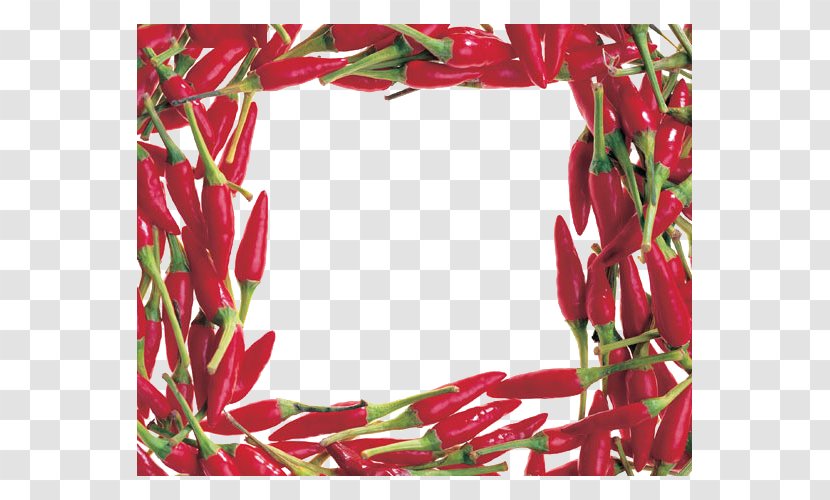 Capsicum Annuum Photography Black Pepper Clip Art - Food - Red Border Transparent PNG