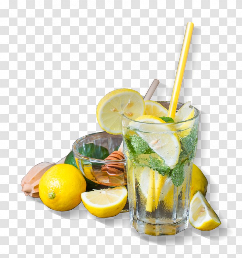 Lemonade Cocktail Garnish Mint - Glass Transparent PNG