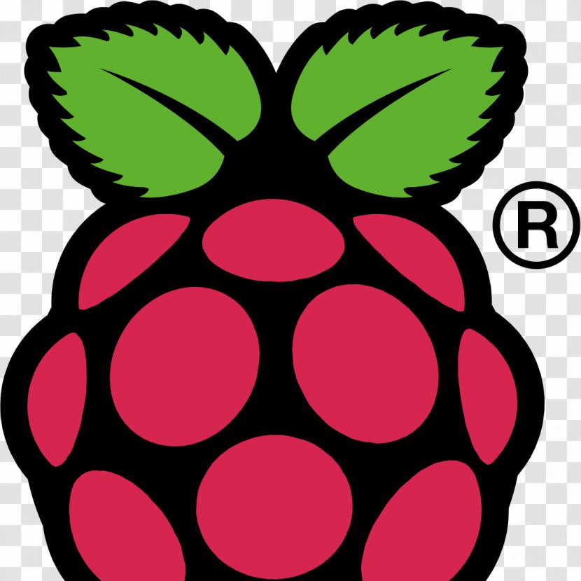 Raspberry Pi Raspbian Arch Linux Computer Transparent PNG