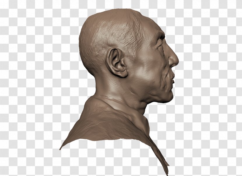 Sculpture Neck Bust Jaw Forehead - Head Transparent PNG