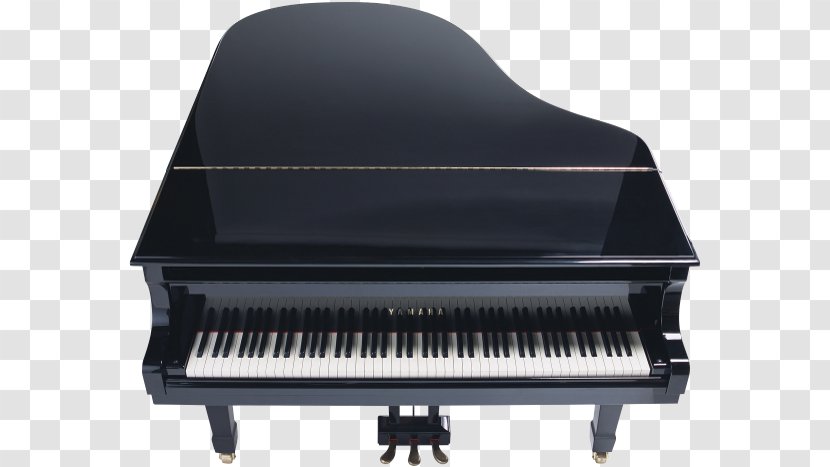 Grand Piano Key - Tree Transparent PNG