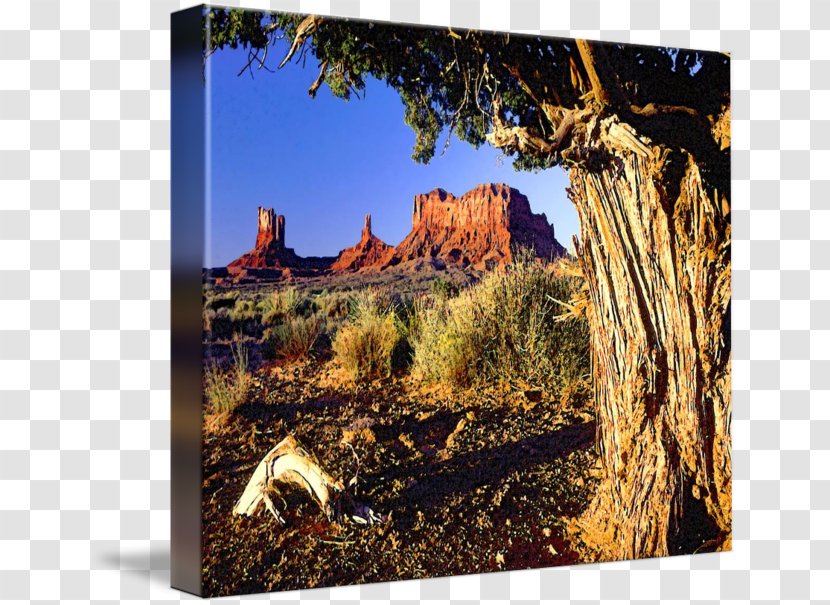 Gallery Wrap Four Trees Canvas Picture Frames Art - Monument Valley Transparent PNG