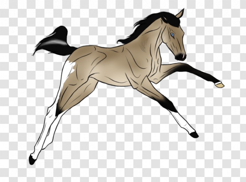 Mustang Mane Foal Stallion Colt - English Riding Transparent PNG