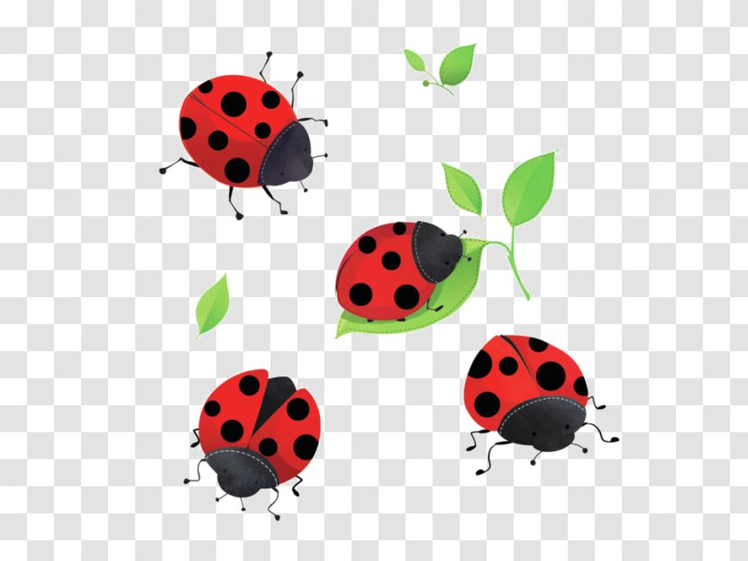 Ladybird Beetle Blog Clip Art - Sticker - Coccinelle Transparent PNG