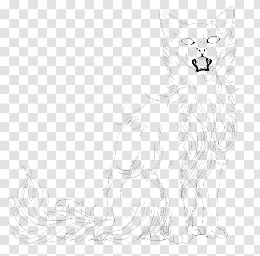 Cat Dog Whiskers Red Fox Drawing - Black - Hairy Transparent PNG