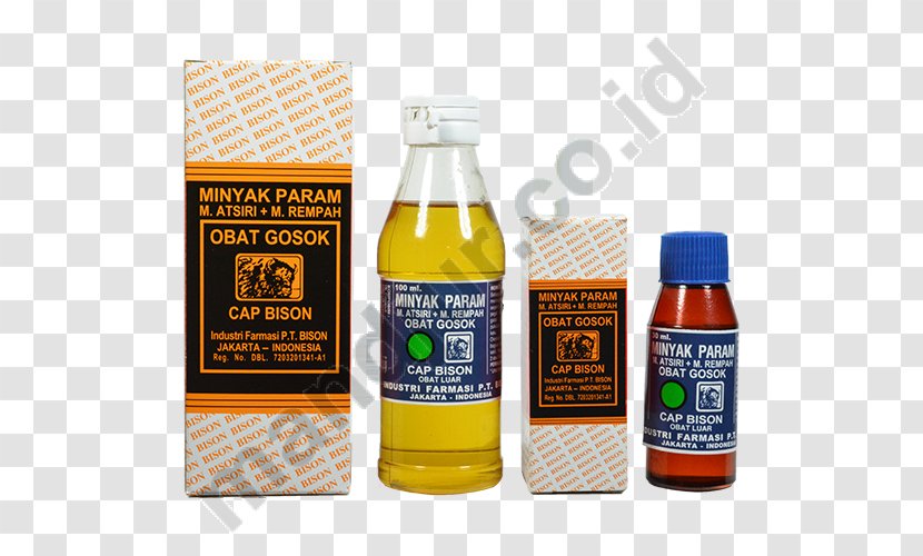 Oil Minyak Tawon Diclofenac Telon Pain - Rheumatism Transparent PNG