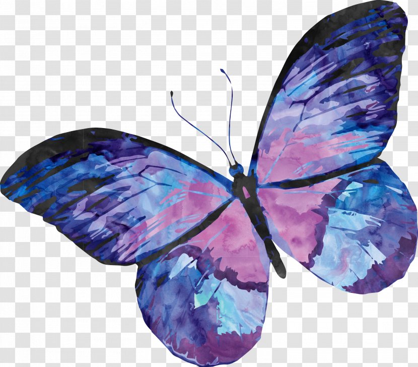 Papillon Dog Butterfly Watercolor Painting - Poster Transparent PNG
